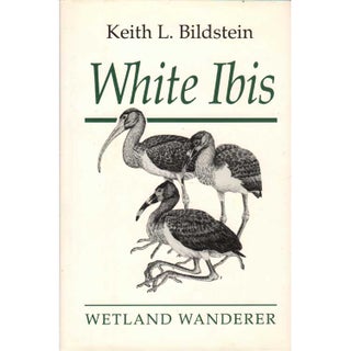Item #10058 White Ibis : Wetland Wanderer. Keith L. Bildstein