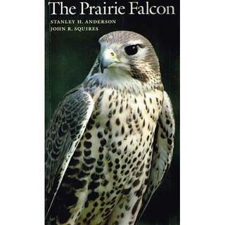 Item #10972P The Prairie Falcon. Stanley H. Anderson, John R. Squires