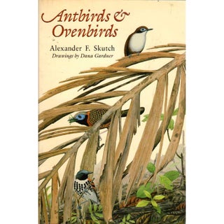 Item #11017U Antbirds & Ovenbirds: Their Lives and Homes [USED]. Alexander F. Skutch