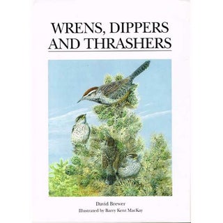 Item #11079U Wrens, Dippers and Thrashers. David Brewer
