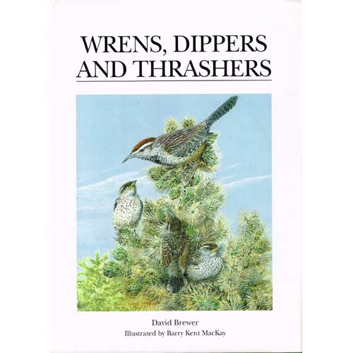 Item #11079U Wrens, Dippers and Thrashers. David Brewer.