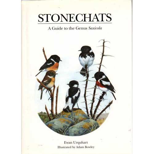 Item #11081 Stonechats: A Guide to the Genus Saxicola. Ewan Urquhart.