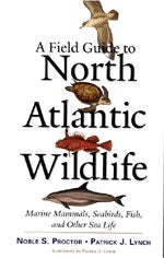 Item #11090 A Field Guide to North Atlantic Wildlife: Marine Mammals, Seabirds, Fish, and Other...