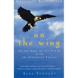 Item #11139P On the Wing: To The Edge of The Earth With the Peregrine Falcon [USED]. Alan Tennant