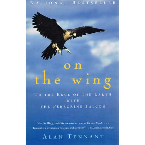 Item #11139P On the Wing: To The Edge of The Earth With the Peregrine Falcon [USED]. Alan Tennant.