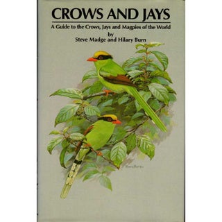 Item #11389H Crows and Jays: A Guide to the Crows, Jays and Magpies of the World [HC]. Steve...