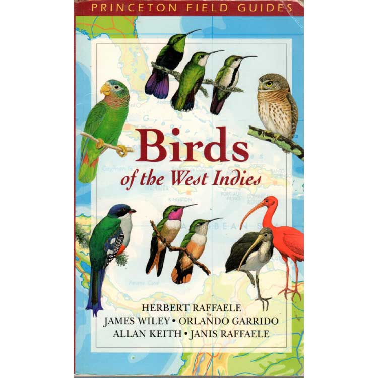 Item #11407U Birds of the West Indies [Raffaele] [PB] [Used]. Herbert A. Raffaele.