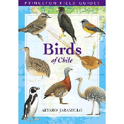 Item #11421 Birds of Chile: Princeton Field Guides [PB]. Alvaro Jaramillo