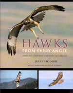 Item #11425 Hawks from Every Angle: How to Identify Raptors in Flight. Jerry Liguori
