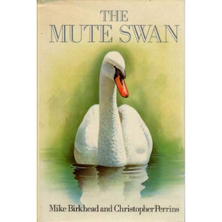 Item #11449 The Mute Swan. Michael Birkhead, Christopher M. Perrins