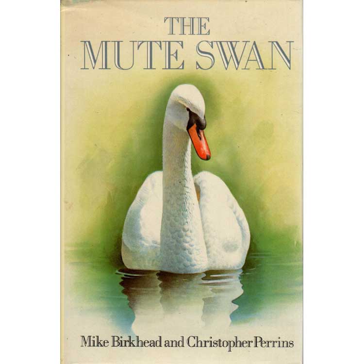 Item #11449 The Mute Swan. Michael Birkhead, Christopher M. Perrins.