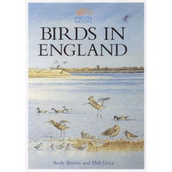 Item #11481 Birds in England. Andy Brown, Phil Grice