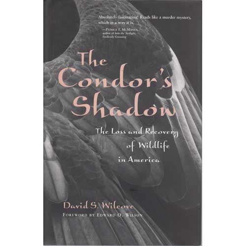 Item #11501 The Condor's Shadow: The Loss and Recovery of Wildlife in America. David S. Wilcove.