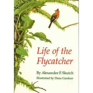 Item #11625P Life of the Flycatcher. Alexander F. Skutch