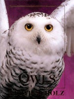 Item #11652 Owls: An Artist's Guide to Understanding Owls. Floyd Scholz, Tad Merrick