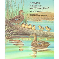 Item #11723 Arizona Wetlands and Waterfowl. David E. Brown