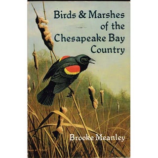 Item #11829 Birds and Marshes of the Chesapeake Bay Country. Brooke Meanley