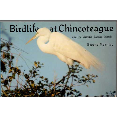 Item #11830 Bird Life at Chincoteague and the Virginia Barrier Islands. Brooke Meanley.