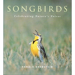 Item #11847 Songbirds: Celebrating Nature's Voices. Ronald Orenstein