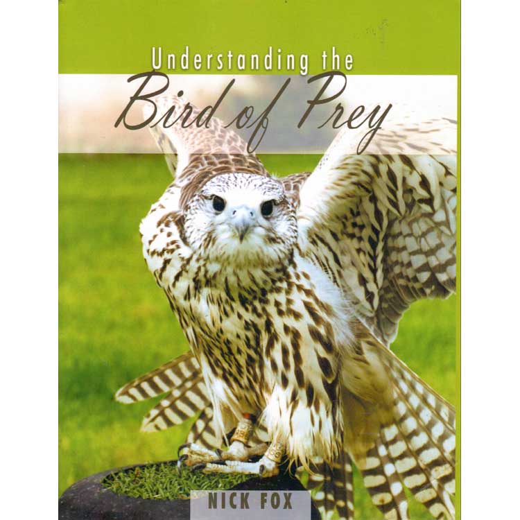 Item #11924PU Understanding the Bird of Prey [PB]. Nick Fox.