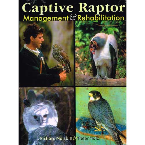 Item #11936 Captive Raptor Management & Rehabilitation. Richard Naisbitt, Peter Holz.