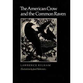 Item #11950P The American Crow and the Common Raven. Lawrence Kilham