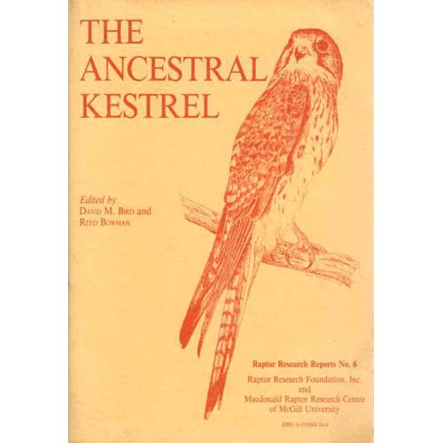 Item #12096 The Ancestral Kestrel. David M. Bird.