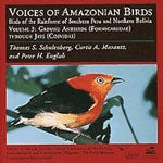Item #12129 Voices of Amazonian Birds, Vol. 3: Ground Antbirds through Jays (CD). Thomas S. Schulenberg, Curtis A. Marantz, Peter H. English.