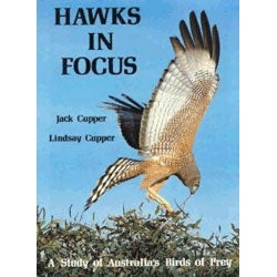 Item #12235 Hawks in Focus: A Study of Australia's Birds of Prey. Jack Cupper, Lindsay Cupper