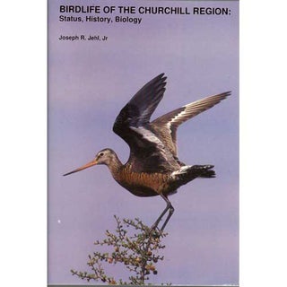 Item #12299 Birdlife of the Churchill Region: Status, History, Biology. Joseph R. Jehl