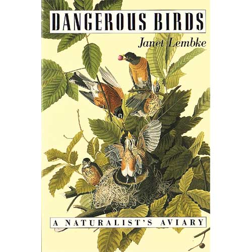 Item #12328 Dangerous Birds: A Naturalist's Aviary [PB]. Janet Lembke.