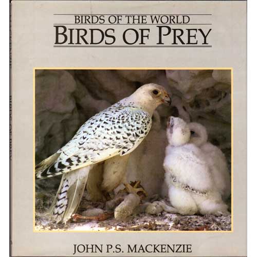 Item #12334 Birds of the World: Birds of Prey. John Mackenzie.