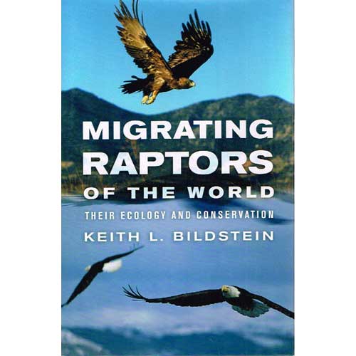 Item #12548 Migrating Raptors of the World: Their Ecology and Conservation. Keith L. BILDSTEIN.