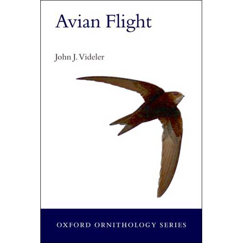 Item #12567 Avian Flight [PB]. John J. Videler.