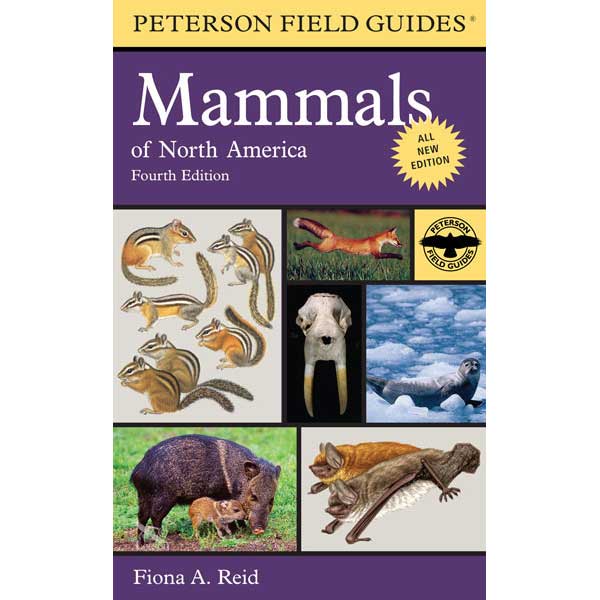 Item #12571 Mammals of North America, Fourth edition. Fiona REID.