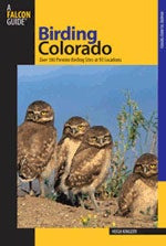 Item #12699 Birding Colorado: Over 180 Prime Birding Sites at 93 Locations. Hugh KINGERY