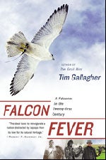 Item #12925 Falcon Fever: A Falconer in the Twenty-first Century [PB]. Tim GALLAGHER
