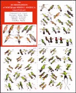 Item #12968 The Hummingbirds of North and Middle America: A Checklist and Compact Field Guide /...