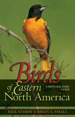 Item #13035 Birds of Eastern North America: A Photographic Guide. Paul STERRY, Brian E. SMALL