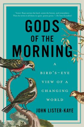 Item #13050 Gods of the Morning: A Bird's Eye View of a Changing World. John Lister-Kaye