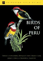 Item #13104 Birds of Peru: Revised and Updated Edition [PB]. Thomas S. SCHULENBERG, Douglas F....