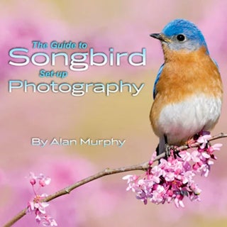 Item #13150 The Guide to Songbird Set-Up Photography (e-Book on CD). Alan Murphy