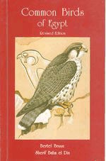 Item #13193 Common Birds of Egypt, Revised Edition. With a Checklist of the Birds of Egypt....