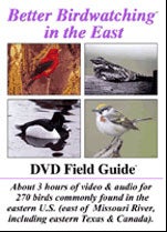 Item #13234 Better Birdwatching in the East [DVD] Field Guide. Joseph A. LaFleur