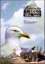 Item #13334 Advanced Birding Series: The Large Gulls of North America [DVD]. Jon L. Dunn, Larry...