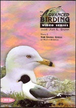 Item #13335 Advanced Birding Series: The Small Gulls of North America. 2 DVD set. Jon L. Dunn,...