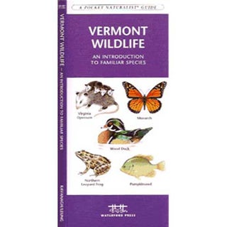 Item #13408 Vermont Wildlife An Introduction to Familiar Species. James Kavanagh