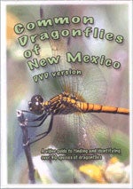 Item #13512 Common Dragonflies of New Mexico [DVD]. Dustin HUNTINGTON