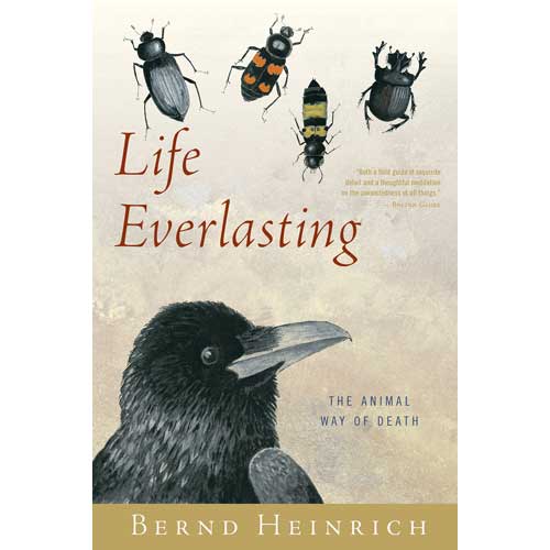 Item #13626PB Life Everlasting: The Animal Way of Death. Bernd Heinrich.