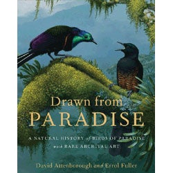 Item #13740 Drawn from Paradise: The Discovery, Art and Natural History of the Birds of Paradise....